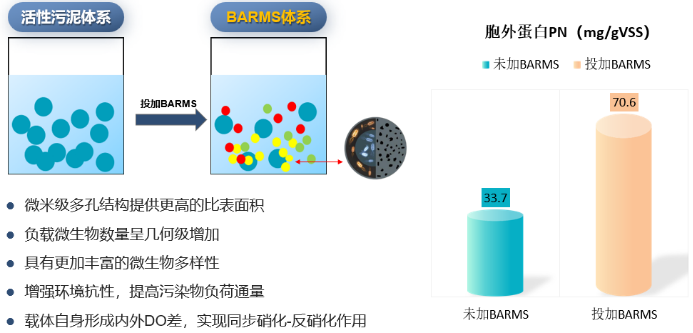 高菌群（微生物总量增加实现原位扩容）